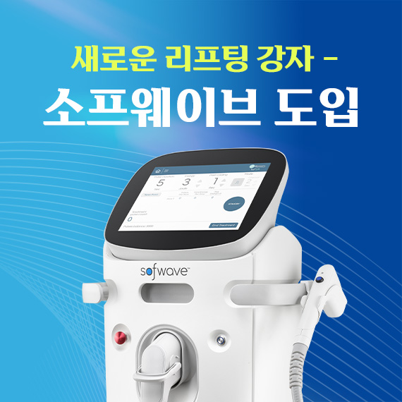 <소프웨이브 도입기념 이벤트>